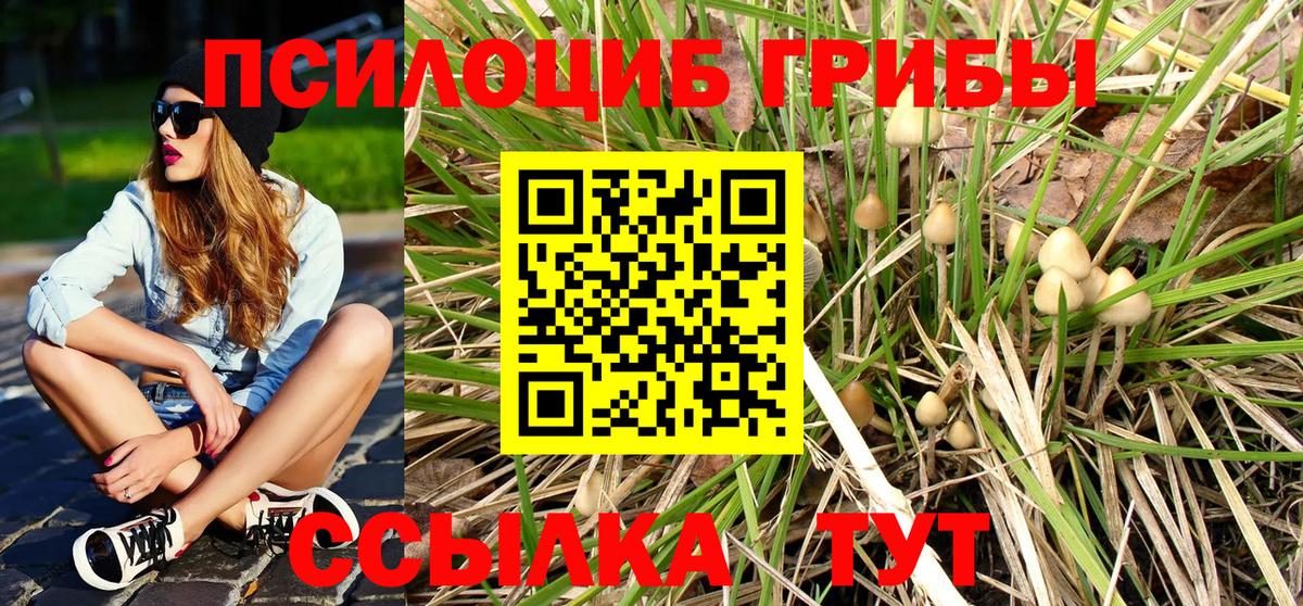 Галлюциногенные грибы Psilocybine cubensis Ишим